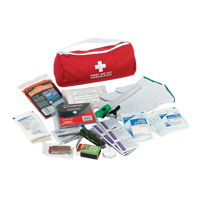 Dynamic Car First Aid Kit, Class 1 Medical Device, Nylon Bag Air Extreme Inc.