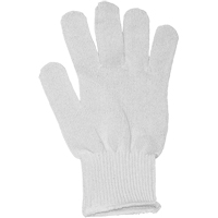 Enveloppes pour gants d'&eacute;t&eacute; Salisbury, Coton, Calibre 10, Taille unique Air Extreme Inc.