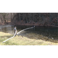 SpillBoa Bale, Oil Only, 25' L x 5" W, 28 gal. Absorbancy, 4 /Pack Air Extreme Inc.