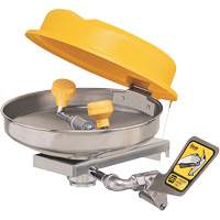 Poste de douche oculaire, Installation Montage mural, Bol Acier inoxydable Air Extreme Inc.