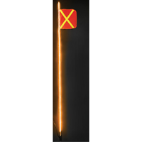Safety Whip&reg; Heavy-Duty LED Whips, Hitch Mount, 10 High, Orange with Reflective Air Extreme Inc.