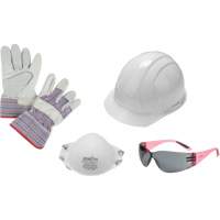 Ladies' Worker PPE Starter Kit Air Extreme Inc.