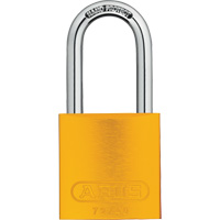 Cadenas, Cl&eacute;s diff&eacute;rentes, Aluminium, Largeur de 1-1/2" Air Extreme Inc.