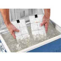 Chill-Its&reg; 6250 Phase Change Cooling Vest Packs Air Extreme Inc.