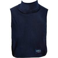 FR Dickie Air Extreme Inc.