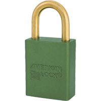 Cadenas Air Extreme Inc.