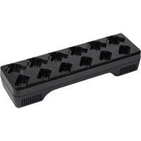 Chargeur de batterie multiunit&eacute;s pour radio d'affaires de la s&eacute;rie DLR Air Extreme Inc.