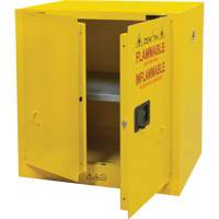 Flammable Storage Cabinet, 22 gal., 2 Door, 35" W x 35" H x 22" D Air Extreme Inc.
