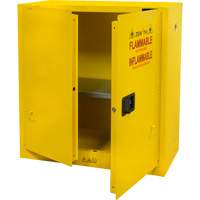 Flammable Storage Cabinet, 30 gal., 2 Door, 43" W x 44" H x 18" D Air Extreme Inc.