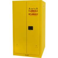 Flammable Storage Cabinet, 60 gal., 2 Door, 34" W x 65" H x 34" D Air Extreme Inc.