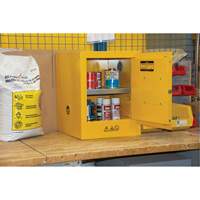 Flammable Storage Cabinet, 4 gal., 1 Door, 17" W x 22" H x 18" D Air Extreme Inc.