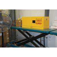 Flammable Storage Cabinet, 12 gal., 2 Door, 43" W x 18" H x 18" D Air Extreme Inc.