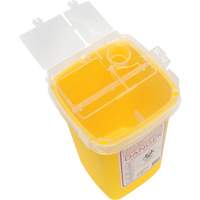 Sharps Container, 1 L Capacity Air Extreme Inc.