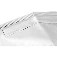 Respirateur jetable, N95, Certifi&eacute; NIOSH, Taille unique Air Extreme Inc.