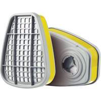 Cartouche, Cartouche gaz/vapeur, Gaz multiples/Vapeurs Air Extreme Inc.