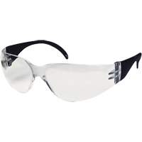 CeeTec Safety Glasses, Clear Lens, Anti-Fog/Anti-Scratch, Meets/Exceeds CSA Z94.3 Air Extreme Inc.