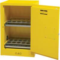 Flammable Aerosol Storage Cabinet, 12 gal., 1 Door, 23" W x 35" H x 18" D Air Extreme Inc.
