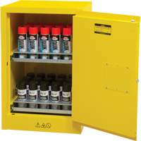 Flammable Aerosol Storage Cabinet, 12 gal., 1 Door, 23" W x 35" H x 18" D Air Extreme Inc.