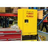 Flammable Aerosol Storage Cabinet, 12 gal., 1 Door, 23" W x 35" H x 18" D Air Extreme Inc.