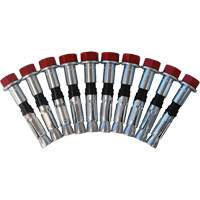 Jeu de boulons de rechange pour ancrages &agrave; anneau en D pour b&eacute;ton, Boulonn&eacute;, Usage Permanent/Temporaire Air Extreme Inc.