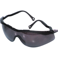Lunettes de s&eacute;curit&eacute; North The Edge, Lentille Fum&eacute;e, Antibu&eacute;e/Anti-&eacute;gratignures, R&eacute;pond ou surpasse la norme CSA Z94.3 Air Extreme Inc.