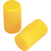 E-A-R Classic Earplugs, Pair - Pillow Pack, Large Air Extreme Inc.