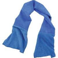 Chill-Its 6604 Multi-Purpose Cleaning and Cooling Towel, Blue Air Extreme Inc.