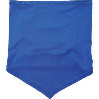 Chill-Its 6483 Cooling Neck Gaiter Bandana with Pocket, Blue Air Extreme Inc.