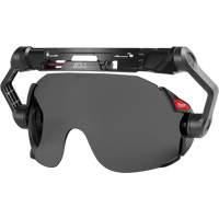 Bolt Eye Visor Air Extreme Inc.