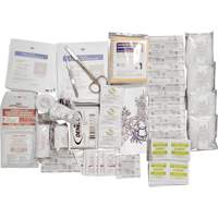 Trousse de premiers soins de base et recharge Shield, R&eacute;pond &agrave; la norme CSA Z1220-17 type 2 environnements &agrave; faible risque, Petit (2-25 travailleurs) Air Extreme Inc.