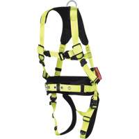 Fall Arrest Harnesses