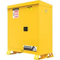 Outdoor Flammable Storage Cabinet, 30 gal., 2 Door, 43" W x 44" H x 18" D Air Extreme Inc.