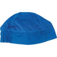 Cooling Skull Cap, Blue Air Extreme Inc.