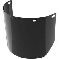 Lentille de rechange pour visi&egrave;re compl&egrave;te sans rev&ecirc;tement, Polycarbonate, Teinte 5,0 Air Extreme Inc.