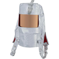 Heat Reflective Hood with Clear Gold Window Air Extreme Inc.