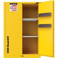 Utili-Guard+ Flammable Safety Cabinet, 45 gal., 2 Door, 43" W x 65" H x 22" D Air Extreme Inc.