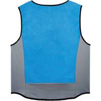 Chill-Its 6667 Wet Evaporative Cooling Vest with Zipper Closure, Medium, Blue Air Extreme Inc.