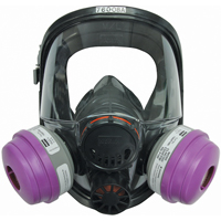 Respirateur &agrave; masque complet North s&eacute;rie 7600, Silicone, Grand/Moyen/Moyen/grand Air Extreme Inc.