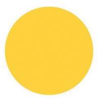 Round Write-On Labels, Circle, 3" L x 3" W, Yellow Air Extreme Inc.