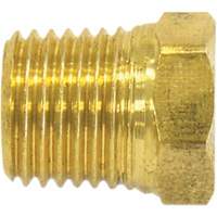 Bouchon de tuyau (t&ecirc;te hexagonale), 1/4" dia., Laiton Air Extreme Inc.