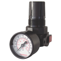 Mini Regulators, 1/4" NPT, 165 PSI Max. PSI, Modular Air Extreme Inc.