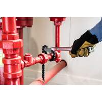 Cl&eacute; &agrave; chaîne Air Extreme Inc.