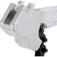 Cl&eacute; &agrave; chaîne Air Extreme Inc.