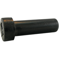 BOUCHON P.T.C. Air Extreme Inc.