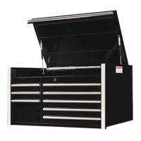RX Series Tool Chest, 41" W, 8 Drawers, Black Air Extreme Inc.