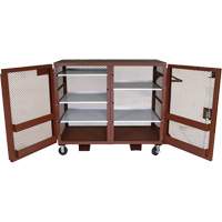 Armoire mobile en treillis, Acier, 49 pi³, Rouge Air Extreme Inc.