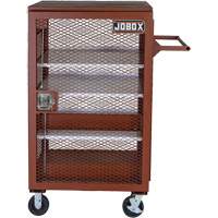 Armoire mobile en treillis, Acier, 22 pi³, Rouge Air Extreme Inc.