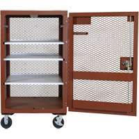Armoire mobile en treillis, Acier, 22 pi³, Rouge Air Extreme Inc.