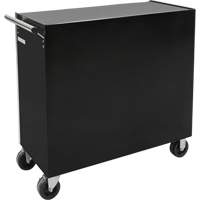 Industrial Tool Cart, 11 Drawers, 41" W x 18-3/4" D x 39-1/3" H, Black Air Extreme Inc.
