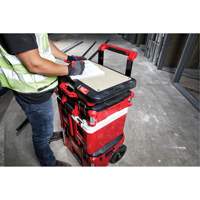 Surface de travail personnalisable Packout Air Extreme Inc.